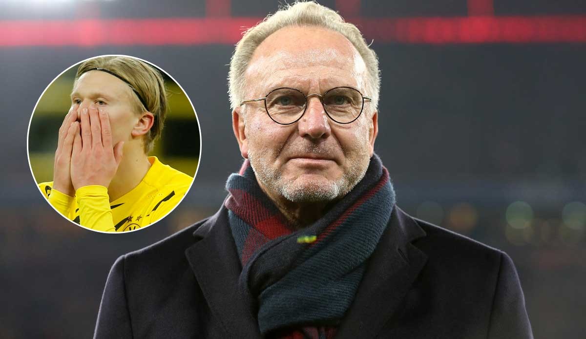 重磅！海港7将有望冲国足，后防线大清洗，杨希挤掉嫡系能成主力？（海港七将剑指国足，后防或迎大换血，杨希能否挤掉嫡系坐稳主力？）